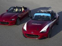 Mazda MX-5 Cup (2016) - picture 2 of 15