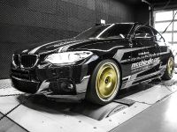 mcchip-dkr BMW 220i MC320 (2016) - picture 1 of 14