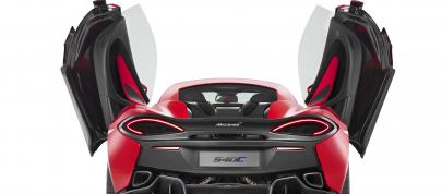 McLaren 540C Coupe (2016) - picture 7 of 8
