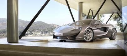 McLaren 570S Coupe (2016) - picture 4 of 29