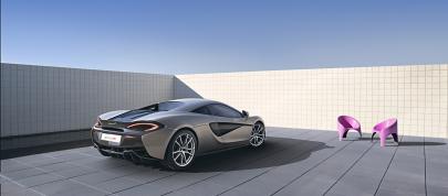 McLaren 570S Coupe (2016) - picture 15 of 29