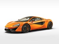 McLaren 570S Coupe (2016) - picture 10 of 29