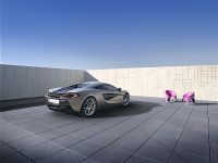 McLaren 570S Coupe (2016)