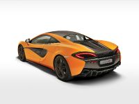 McLaren 570S Coupe (2016)