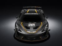 McLaren 570S GT4 (2016) - picture 1 of 6