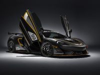 McLaren 570S GT4 (2016) - picture 2 of 6