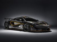 McLaren 570S GT4 (2016) - picture 3 of 6