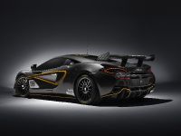 McLaren 570S GT4 (2016) - picture 5 of 6