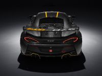 McLaren 570S GT4 (2016) - picture 6 of 6