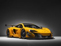 McLaren 650S GT3 (2016) - picture 1 of 8