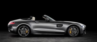 Mercedes-AMG GT Roadsters (2016) - picture 4 of 15