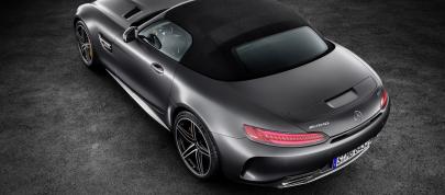 Mercedes-AMG GT Roadsters (2016) - picture 7 of 15