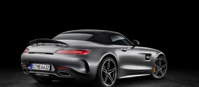 Mercedes-AMG GT Roadsters (2016) - picture 12 of 15
