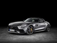 Mercedes-AMG GT Roadsters (2016) - picture 1 of 15