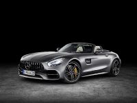 Mercedes-AMG GT Roadsters (2016) - picture 2 of 15