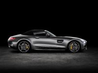 Mercedes-AMG GT Roadsters (2016) - picture 3 of 15