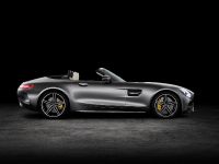 Mercedes-AMG GT Roadsters (2016) - picture 4 of 15