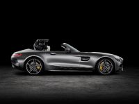 Mercedes-AMG GT Roadsters (2016) - picture 5 of 15