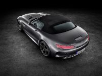 Mercedes-AMG GT Roadsters (2016) - picture 7 of 15