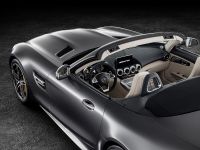 Mercedes-AMG GT Roadsters (2016) - picture 8 of 15