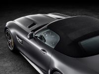 Mercedes-AMG GT Roadsters (2016)