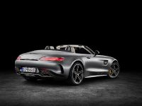 Mercedes-AMG GT Roadsters (2016) - picture 10 of 15