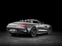 Mercedes-AMG GT Roadsters (2016)