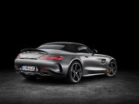 Mercedes-AMG GT Roadsters (2016)
