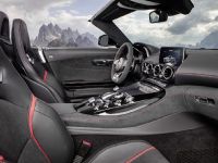 Mercedes-AMG GT Roadsters (2016)