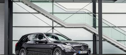 Mercedes-Benz C450 AMG Sport (2016) - picture 23 of 37