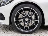 Mercedes-Benz C450 AMG Sport (2016) - picture 11 of 37
