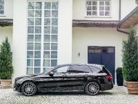 Mercedes-Benz C450 AMG Sport (2016) - picture 19 of 37
