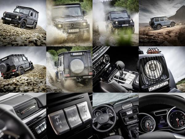 Mercedes-Benz G350 d Professional (2016) - picture 1 of 17