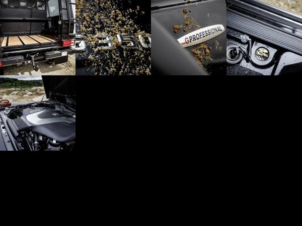 Mercedes-Benz G350 d Professional (2016) - picture 13 of 17