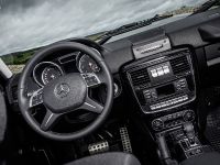 Mercedes-Benz G350 d Professional (2016) - picture 11 of 17