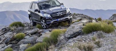 Mercedes-Benz GLE (2016) - picture 12 of 48