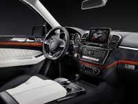 Mercedes-Benz GLE (2016) - picture 42 of 48