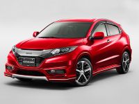 MUGEN Honda Tokyo Auto Salon (2016)