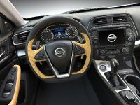 Nissan Maxima (2016) - picture 27 of 34