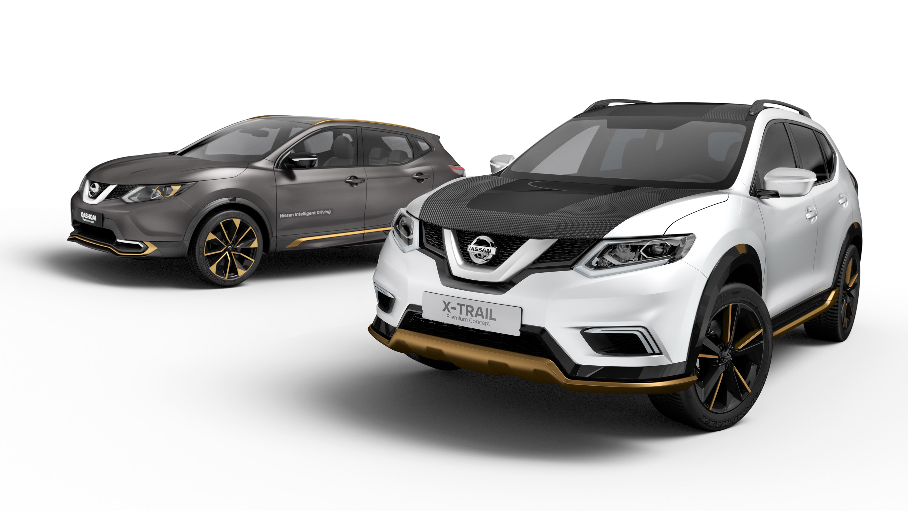 Nissan Qashqai Premium Concept