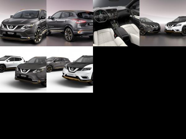 Nissan Qashqai Premium Concept (2016) - picture 1 of 6