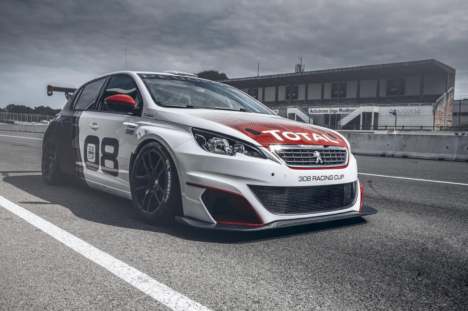 Peugeot 308 Racing Cup