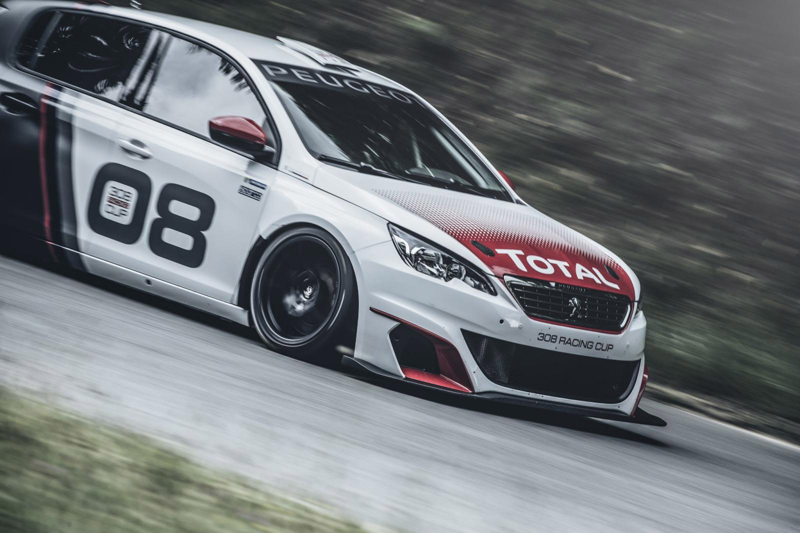 Peugeot 308 Racing Cup