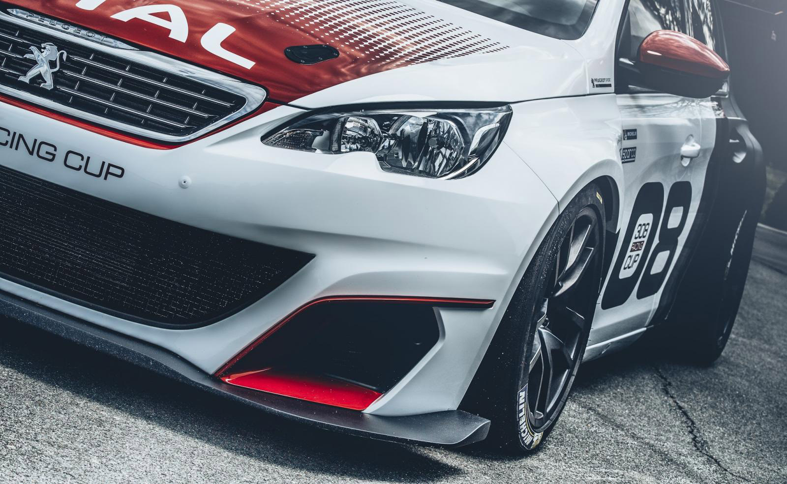 Peugeot 308 Racing Cup