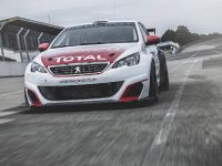 Peugeot 308 Racing Cup (2016) - picture 1 of 18