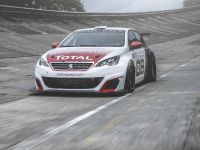 Peugeot 308 Racing Cup (2016) - picture 2 of 18