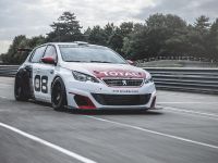 Peugeot 308 Racing Cup (2016) - picture 5 of 18