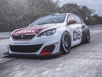 Peugeot 308 Racing Cup (2016) - picture 6 of 18