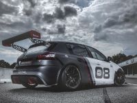 Peugeot 308 Racing Cup (2016)
