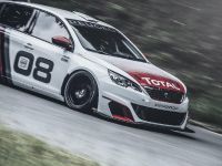 Peugeot 308 Racing Cup (2016) - picture 13 of 18